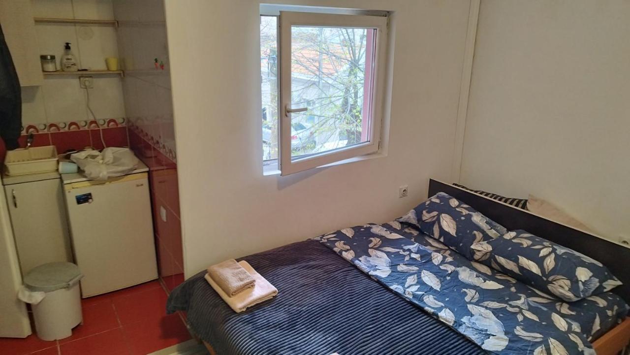 Small Apartment Private Bathroom Strong Wi-Fi Belgrade Exterior photo